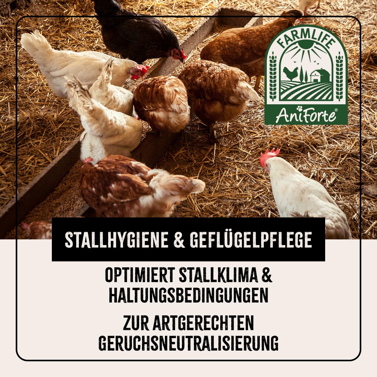 AniForte Kieselgur für Hühner 4,2kg inkl. Stäubeflasche - Reines Kieselgur Hühner Pulver, Kieselerde Pulver, Naturprodukt für Hühnerstall, Laborgeprüft für Geflügel Betriebe