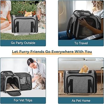 Trips to Go on With Friends: Ultimate Adventure Guide