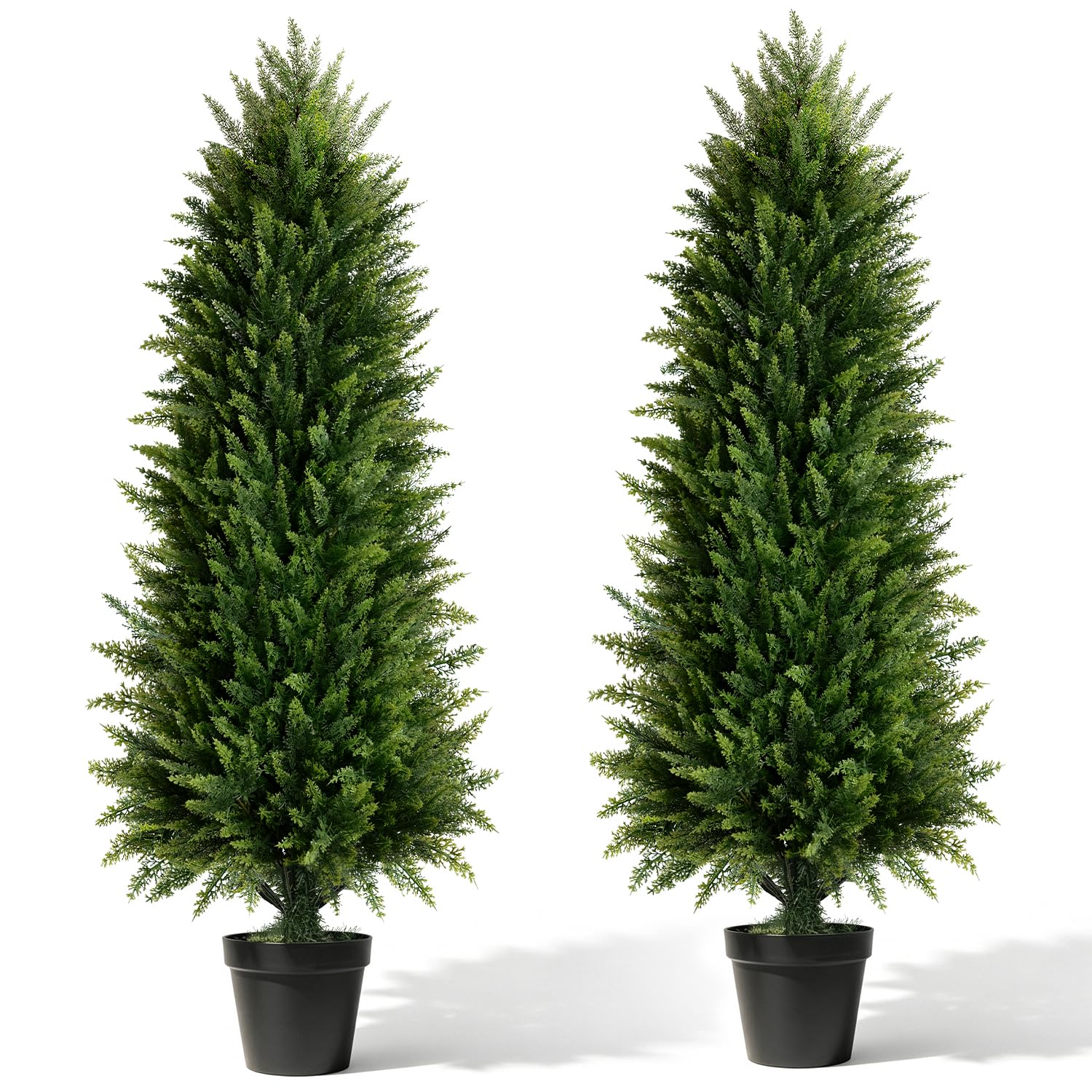 Mavis's Diary 5FT Cedar Topiary Trees