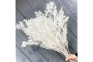Dried White Italian Ruscus Eucalyptus