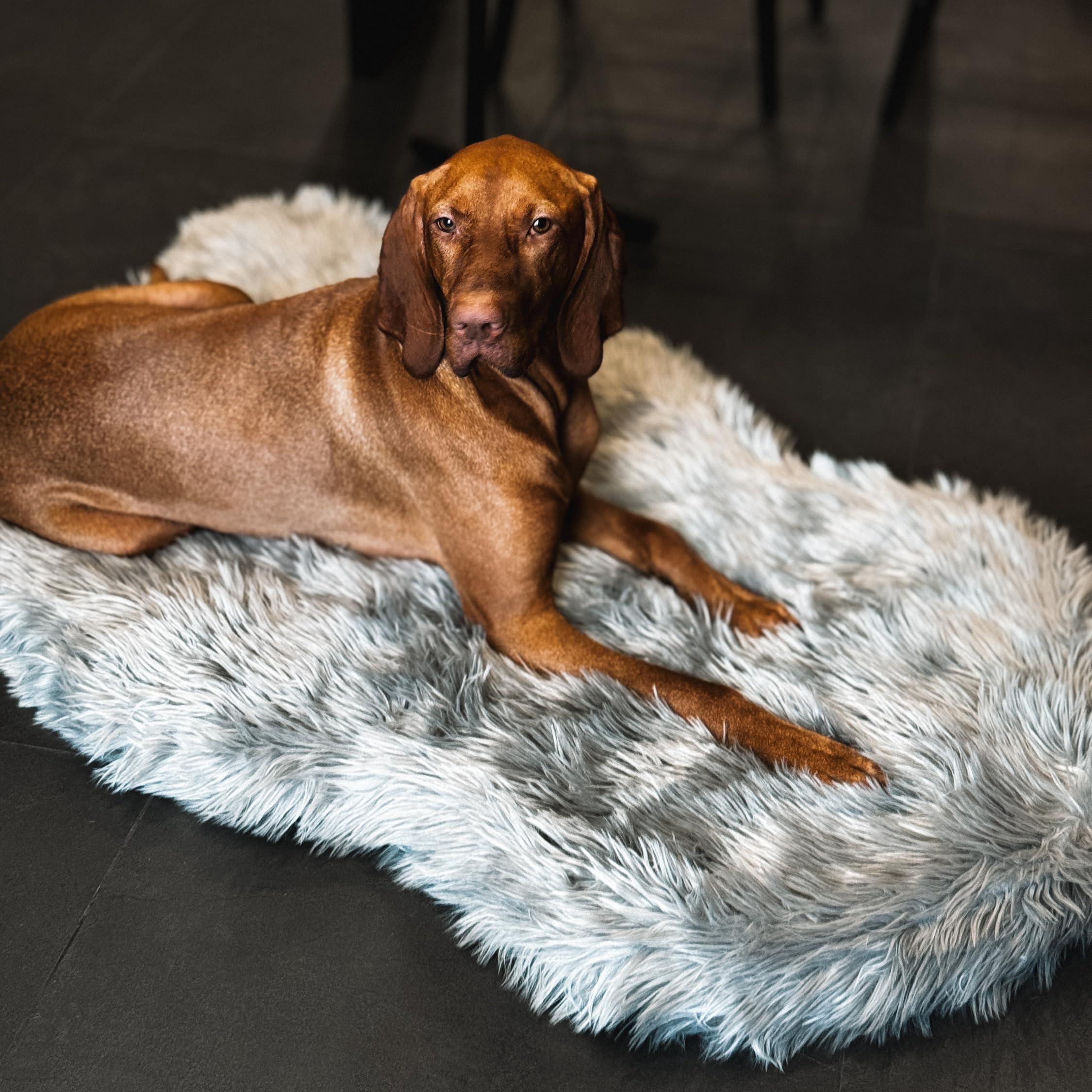 IHAPPYDOG Luxury Faux Fur Orthopedic Dog Bed, Memory Foam Dog Bed​ for​ Small, Medium, Large and XL Pets, Fluffy Pet Bed with Waterproof ​and ​