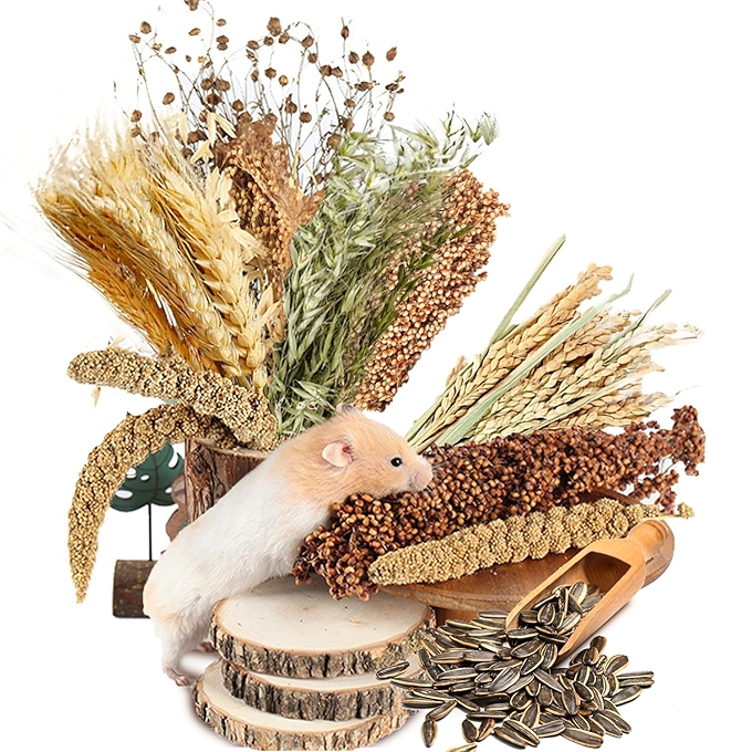 天然谷物花草寝具装饰，适合仓鼠、沙鼠和多毛鼠的趣味配件