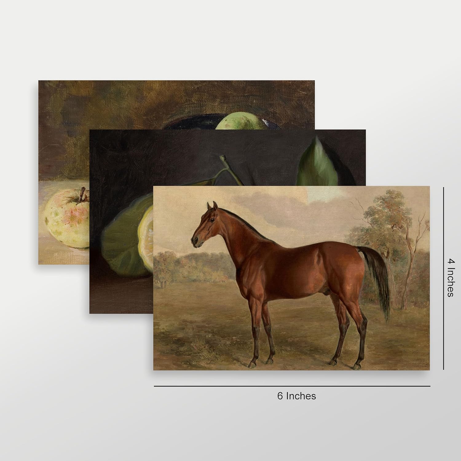 Equestrian Mega Collage 50 Piece Set - 50 Vintage Style 4x6 inch Art Prints - Horse, Landscape, Still Life Prints for Home Decor - Antique Artwork Farmhouse Country Boho Wall Art - 4x6 Inches Each