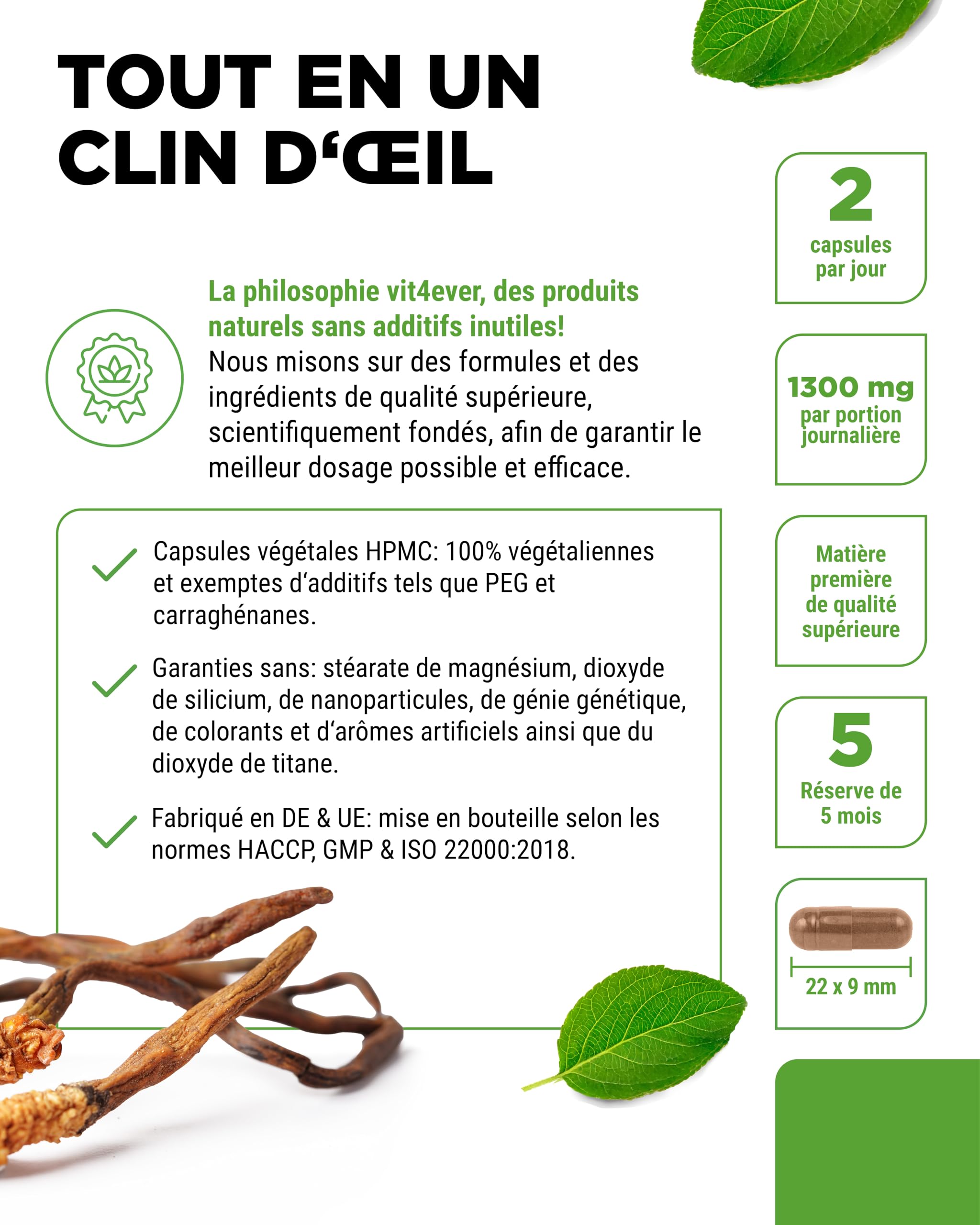 Champignon Cordyceps - 300 capsules avec 650 mg de Véritable Extrait de CS-4-40% de Polysaccharides Bioactifs - Haute Dose - Champignon Chenille - Vegan