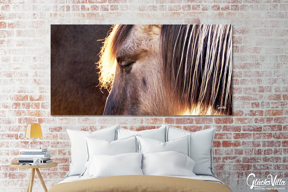 Glücksvilla - Wildpferd 1 (Acrylglas-Bild 5 mm, 120 x 60 cm) | div. Maße - aus DE - Kunstdruck Deko Wandbild quer - Pferd Pony Bauernhof Natur Tier