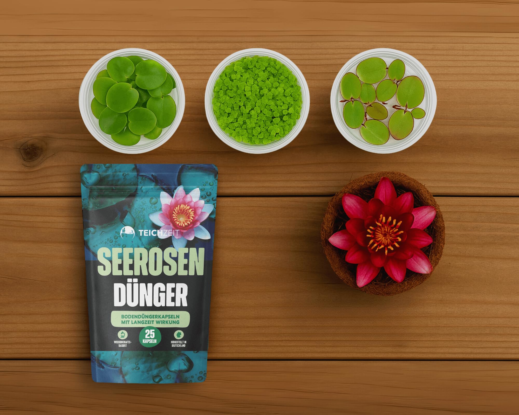 Garnelio Miniteich Pflanzen Set - Seerose Nymphaea Sulphurea vorgezogen in Kokosfaser - 3 Schwimmpflanzen - Seerosen-Dünger 25 Kapseln - Perfekt für Zinkwanne & Kübel - Pinke Seerose