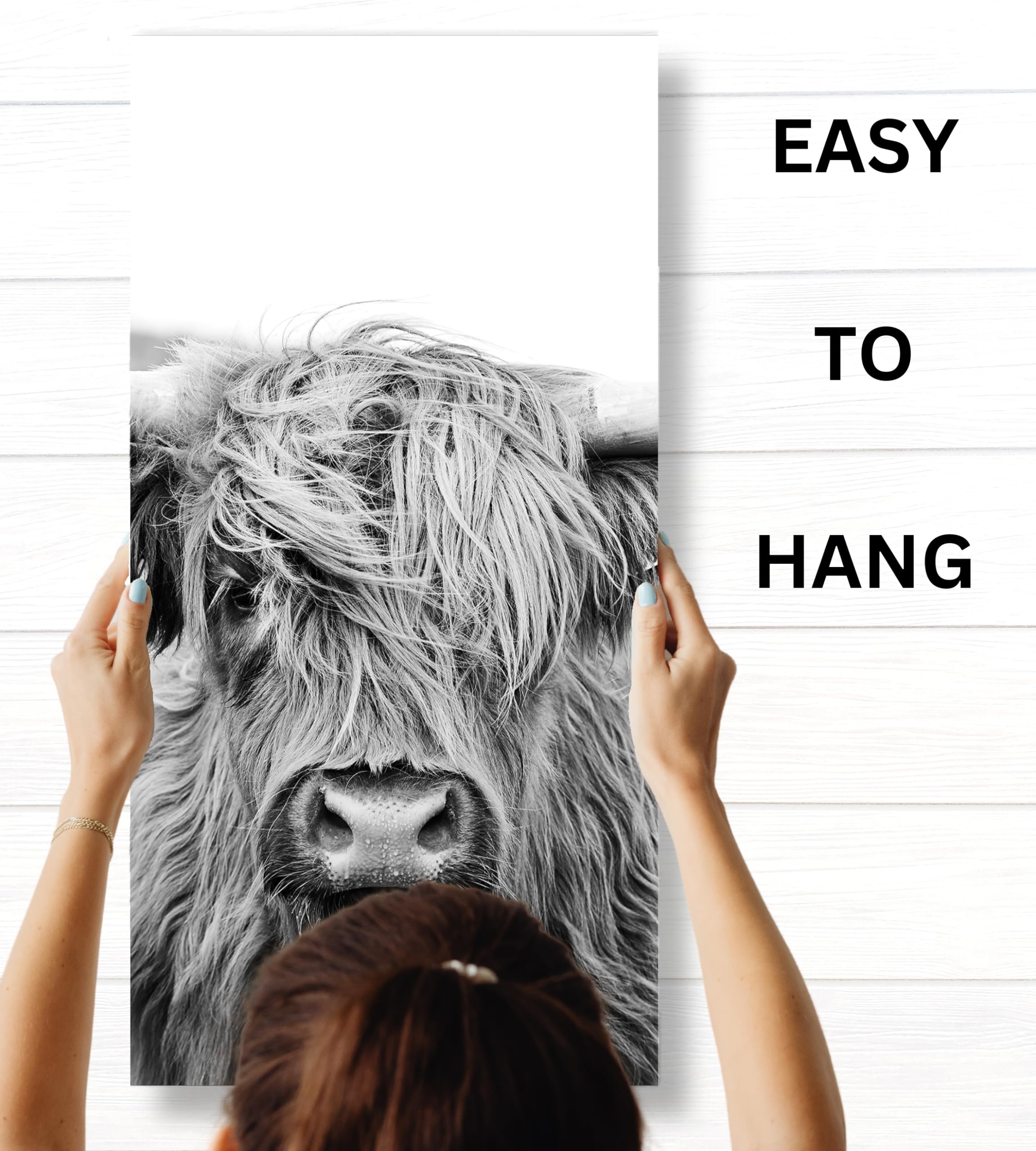 Arte da parete di mucca delle Highland, decorazione su tela di