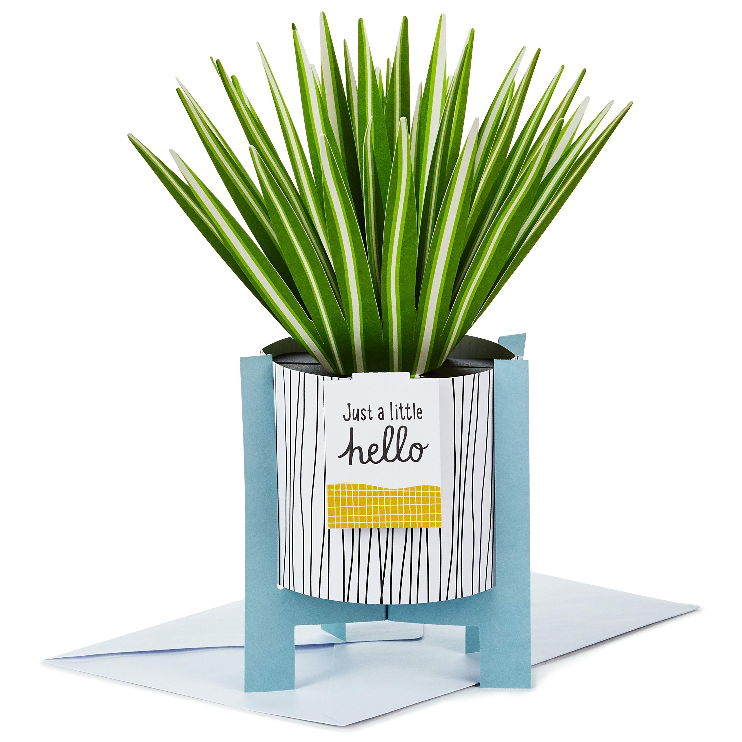 Hallmark Pop Up Card - Contemporary Spider Plant Design