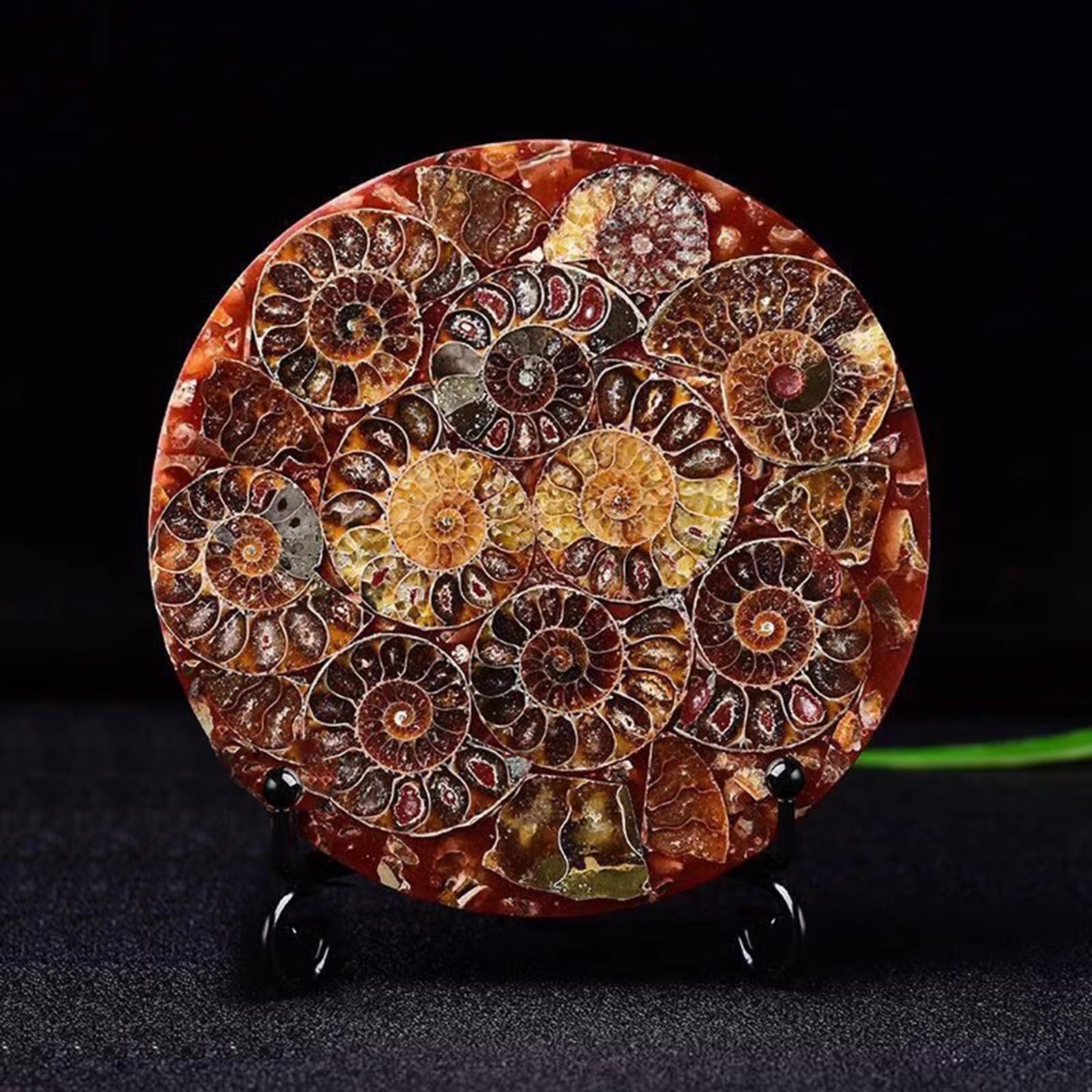 Fósil de Disco de amonita Natural decoración de sanación Adornos enseñanza científica espécimen de Concha Regalo,Metálico,11cm