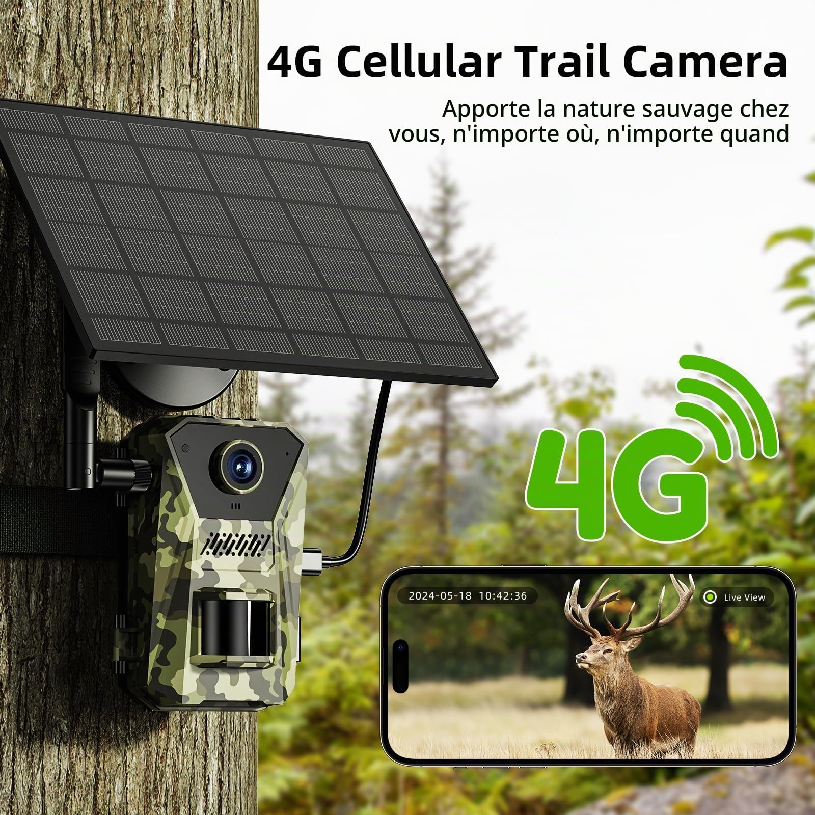 Korons Caméra de Chasse(64GB)