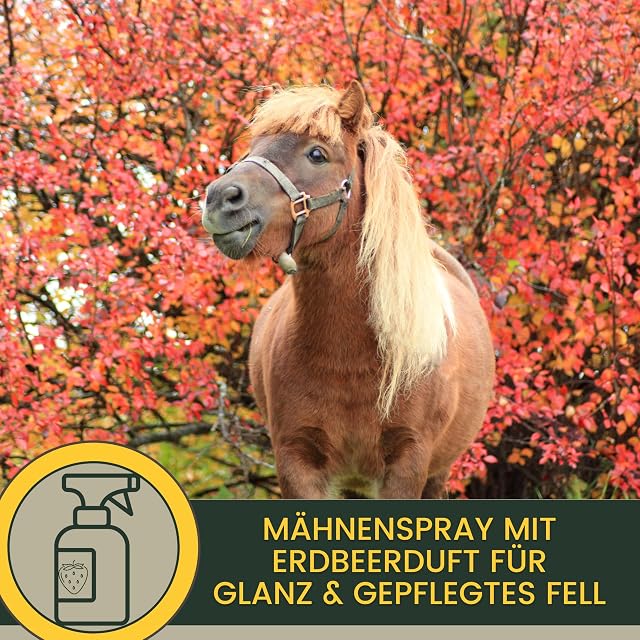 Foto 7 de 8 de Spray de Purpurina - Spray de Crin para Caballos I Grasa para Cascos con Purpurina I Golosinas para Caballos…