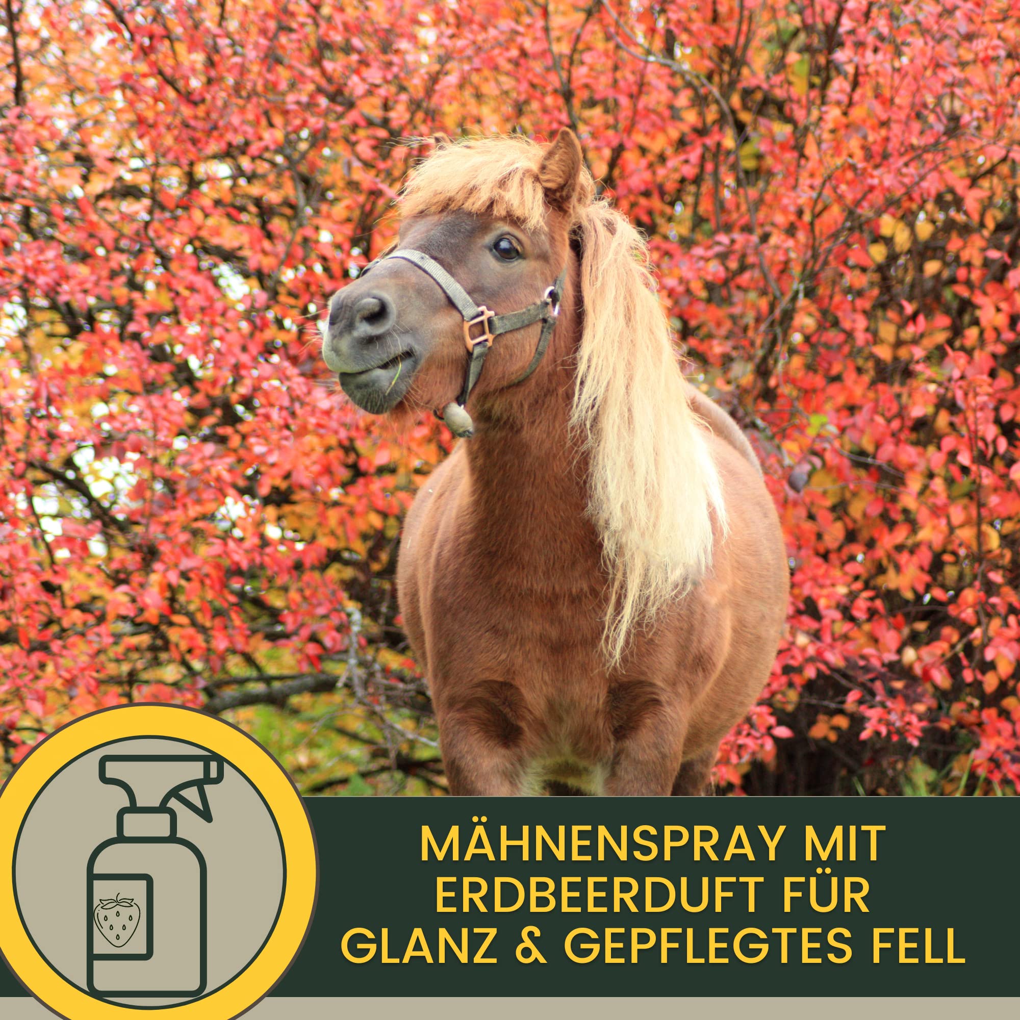 Spray de Purpurina - Spray de Crin para Caballos I Grasa para Cascos con Purpurina I Golosinas para Caballos Champú para Caballos Juego de 4 pz Spray de Cola Golosinas para Caballos 400gr 500ml 250ml