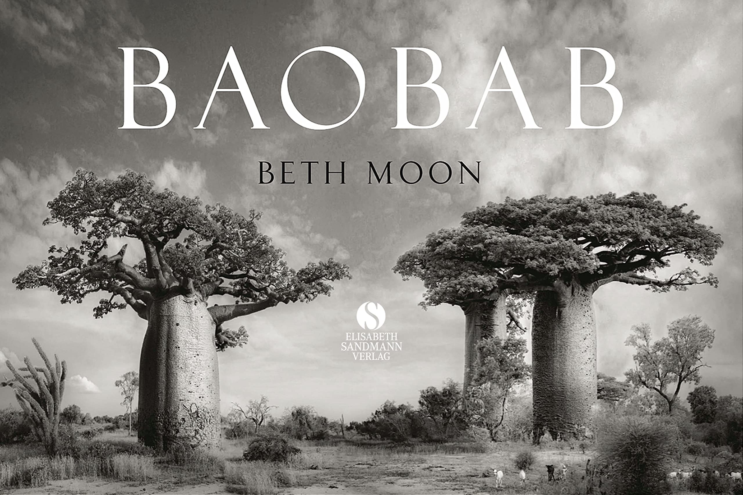 Baobab beau livre photo arbres anciens de la forêt et carnet de voyage nature