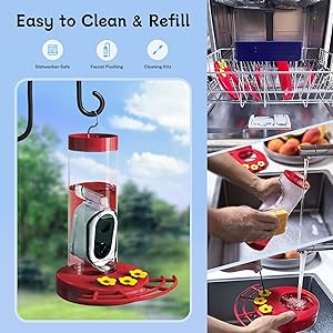 TT Nature Hummingbird Feeder with Camera Solar Powered, AI Identify Cloud Storage Instant Notification, CCPA Data Protection, Outdoor Hanging, Idea Gift for Family Friends (20 Ounces)