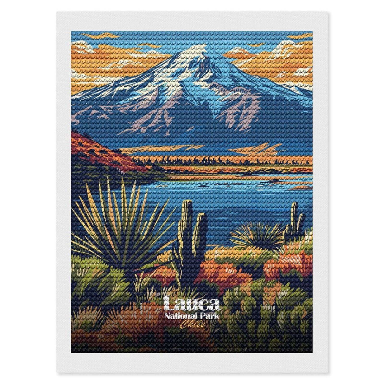 Junmoney Lauca National Park Chile Landscape DIY Diamond Art Canvas Kit 12"x16", for Teens, Aesthetic Room Decor, Farmhouse Decor, Canvas Picture, Birthday Gift