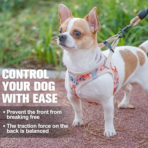 Miniatura 87 de BEAUTYZOO Juego de arnés y correa para perro, arnés reflectante para perro, sin tirones, sin estrangulamiento, para perros pequeños, medianos