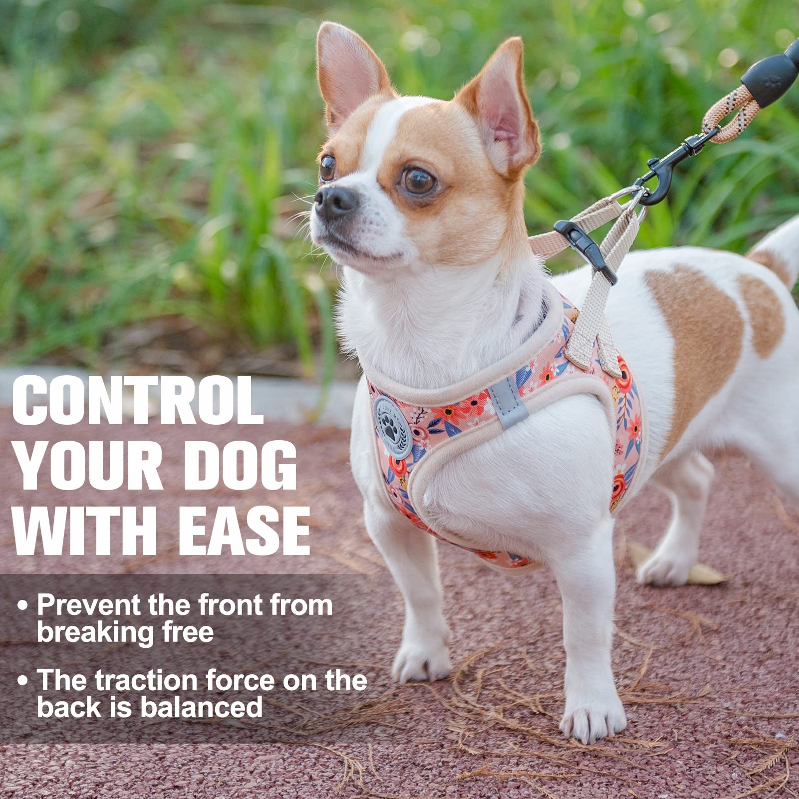 BEAUTYZOO Pet Vest Harness