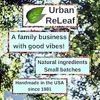 Vista 6 de Urban ReLeaf Zinc Oxide Salve ! Gently Soothe & Protect Damaged, Injured & Dry Skin! First Aid, Burns, Rashes, Scrapes! Deeply Hydrating Protection.
