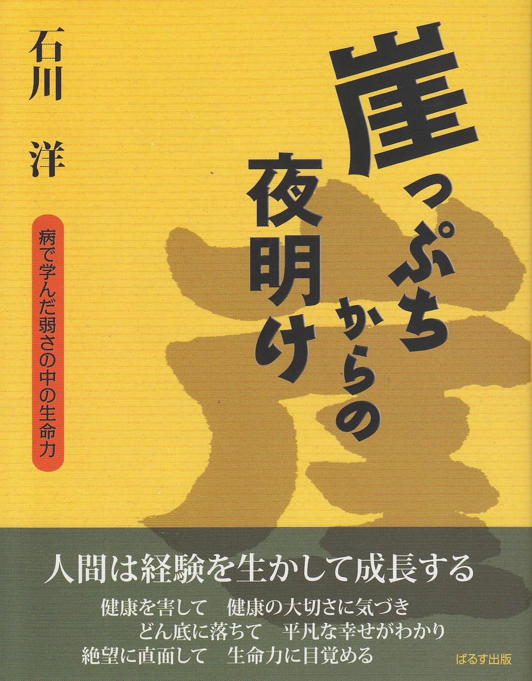 Amazon.co.jp: 石川 洋: 本、バイオグラフィー、最新アップデート