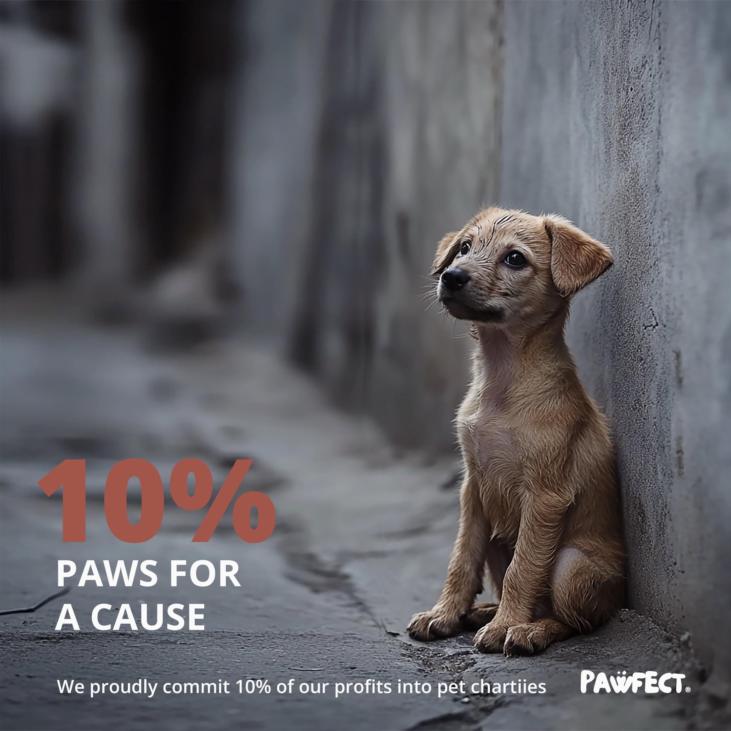 Pawfect Rollos de bolsas para excrementos de perro, bolsas biodegradables para perros, bolsas de basura compostables para perros, bolsas de basura para mascotas con certificación BPI, sin perfume