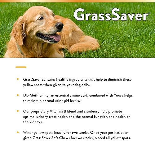 Miniatura 5 de NaturVet Suplemento GrassSaver para perros Suplemento saludable para ayudar a librar tu césped de manchas amarillas Combinación sinérgica