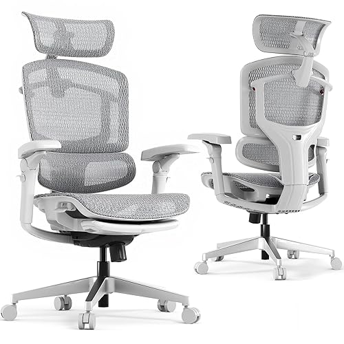 FLEXISPOT ErgoX Pro Ergonomic Office Chair with 12-Level Height Adjustable, Desk Chair with Footrest 7D Armrests, 5D Lumbar Support, 4D Headrest and Breathable Mesh Seat for Home Office - Grey - Grey - PRO With Footrest