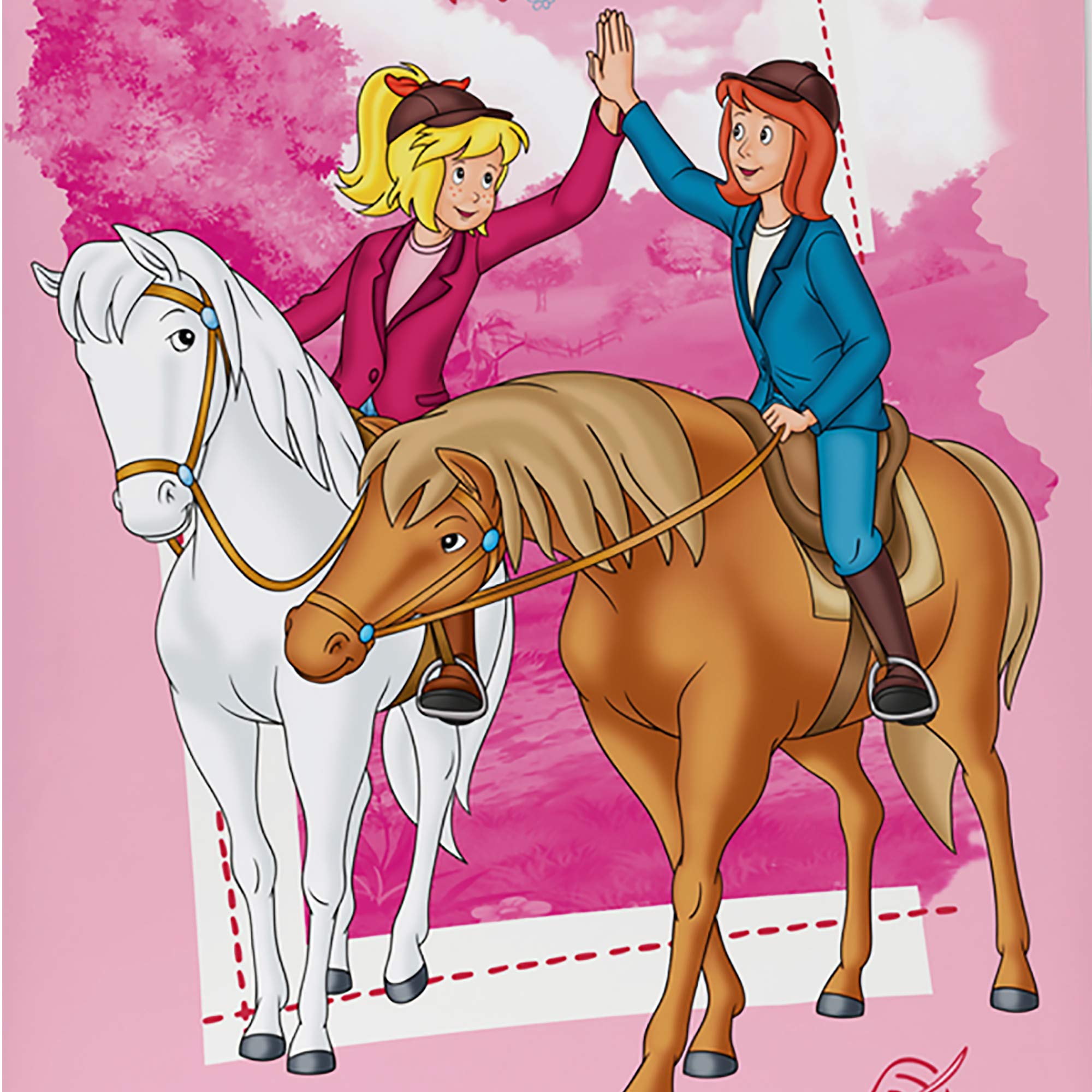 Bibi und Tina Biber / Flanell Kinder Wende-Bettwäsche Motiv Lieblingspferd Rosa 135 x 200 cm + 80 x 80 cm 100% Baumwolle Bibi Blocksberg Tina Martin Pferde-Bettwäsche Sabrina Amadeus Deutsche Größe