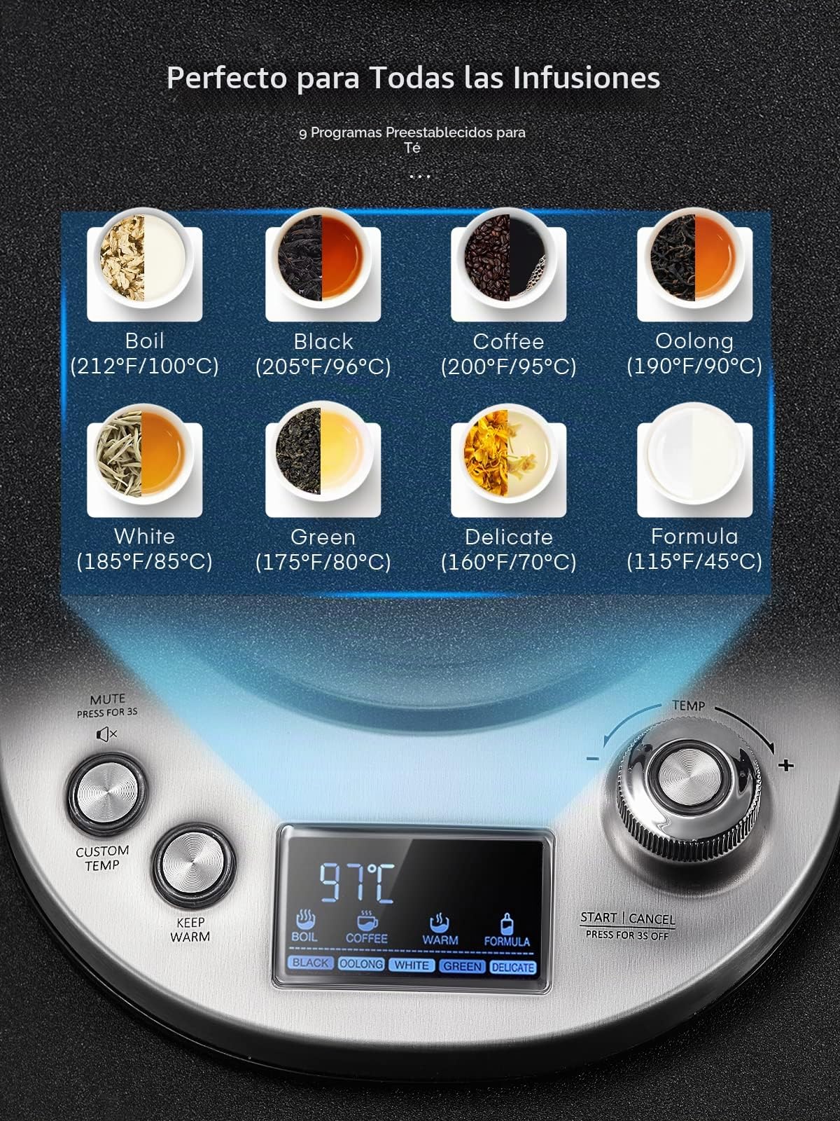 Hervidor de Agua Eléctrico, 9 Presintonías de Control de Temperatura, 2200W, 2H Para Mantener Caliente, 1.7L con Infusor Extraíble, Pantalla LCD, Vidrio Borosilicato y Acero Inoxidable (Plata)