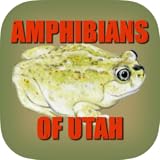 Lots of photos of each frog, toad or salamander