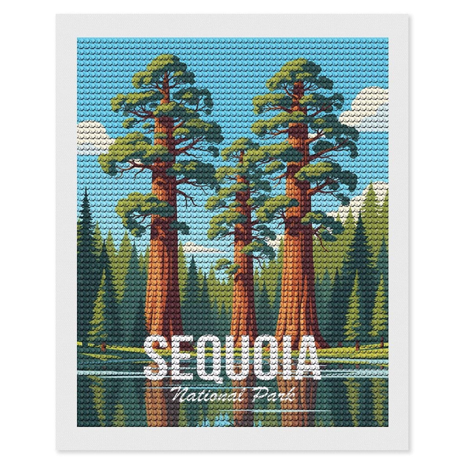 Junmoney Sequoia National Park Diamond Painting Set 16"x20", for Beginners, Modern Decor, Simple to Start, Gift Idea, Pleasing Wall Art Project