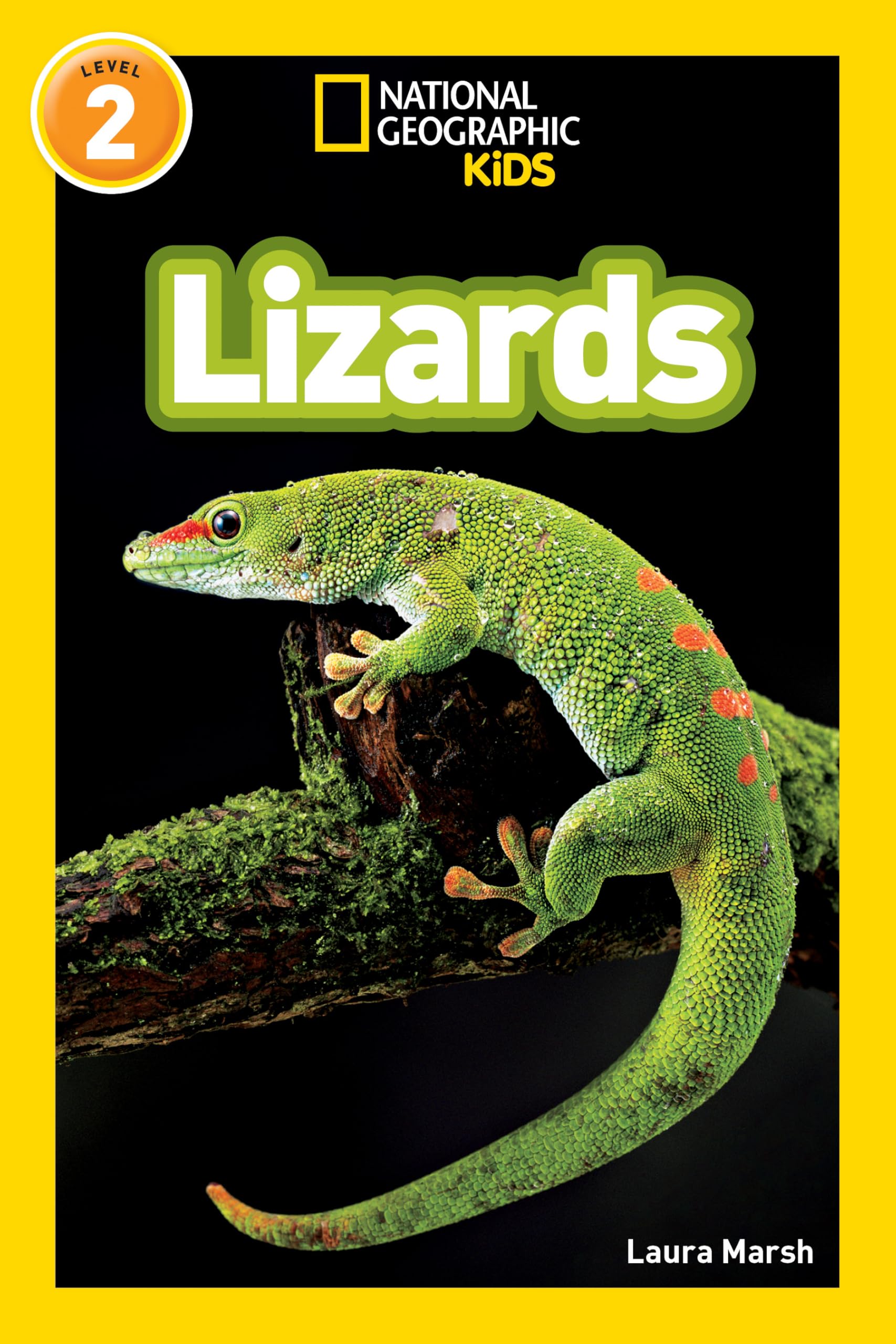 National Geographic Kids Readers: Lizards (National Geographic Kids Readers: Level 2) Paperback – Illustrated, 3 May 2012