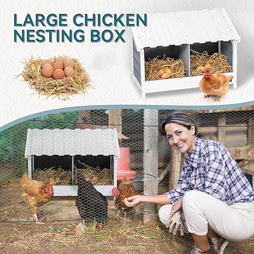 Miniatura 6 de PETSFIT Caja de anidación de pollo de 2 agujeros, techo de PVC para todo tipo de clima, diseño de madera natural con panel trasero de privacidad