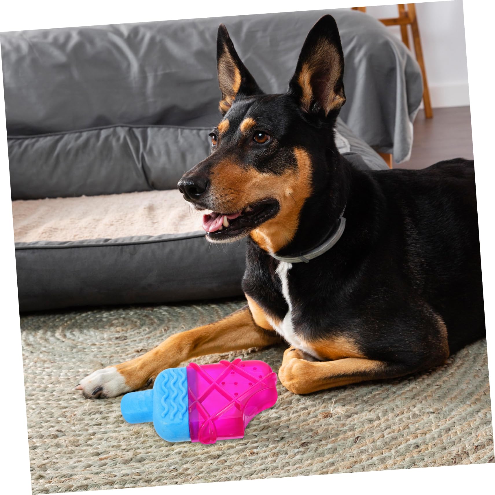HANABASS 5pièces Jouet à Mâcher pour Chiots Forme De Glace Jouet Rafraîchissant pour à Congeler pour Soulager Gencives Et Nettoyer Dents des Chiens