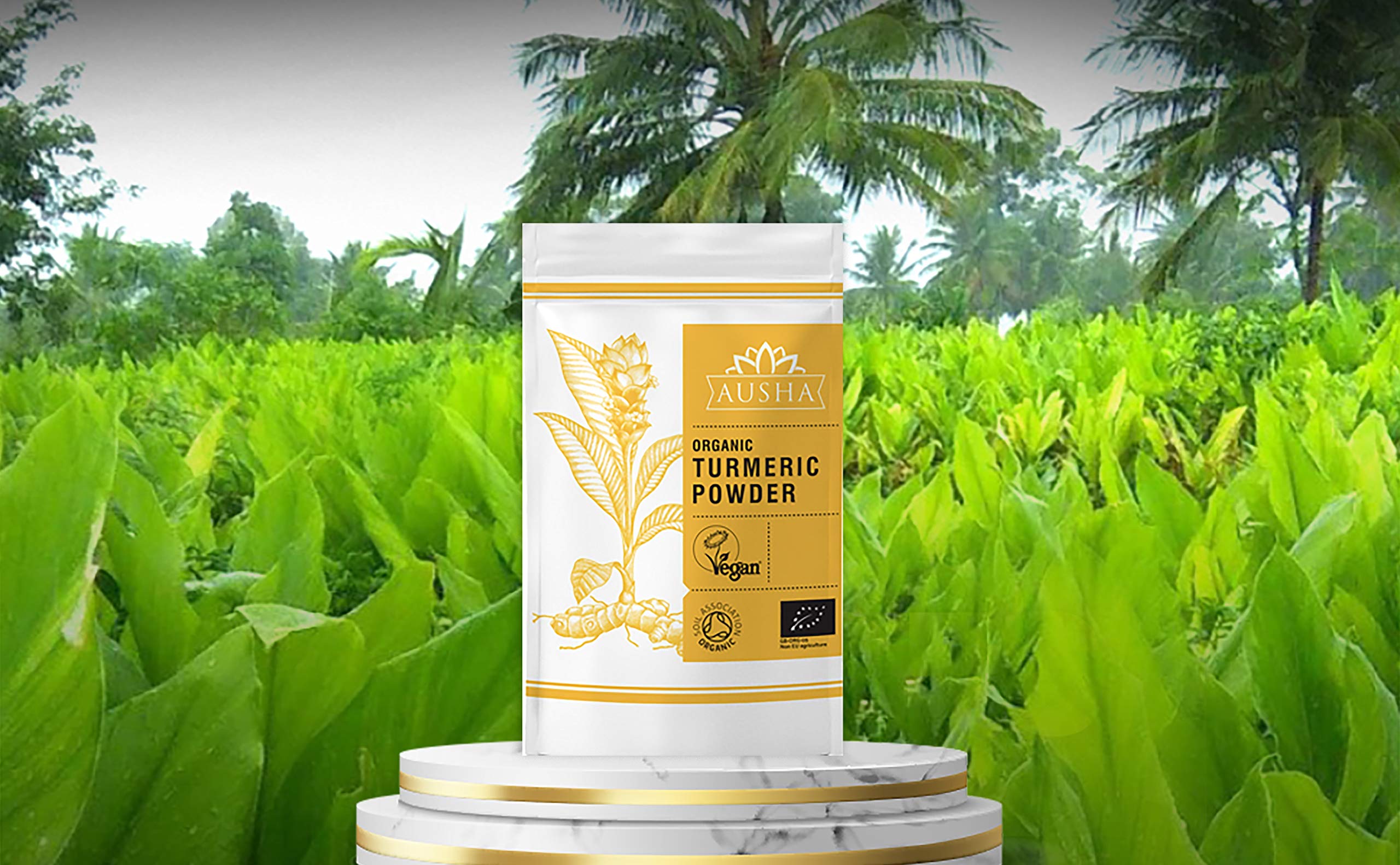 Buy Ausha Organic Turmeric Powder 500g 7 Curcumin Double Strength