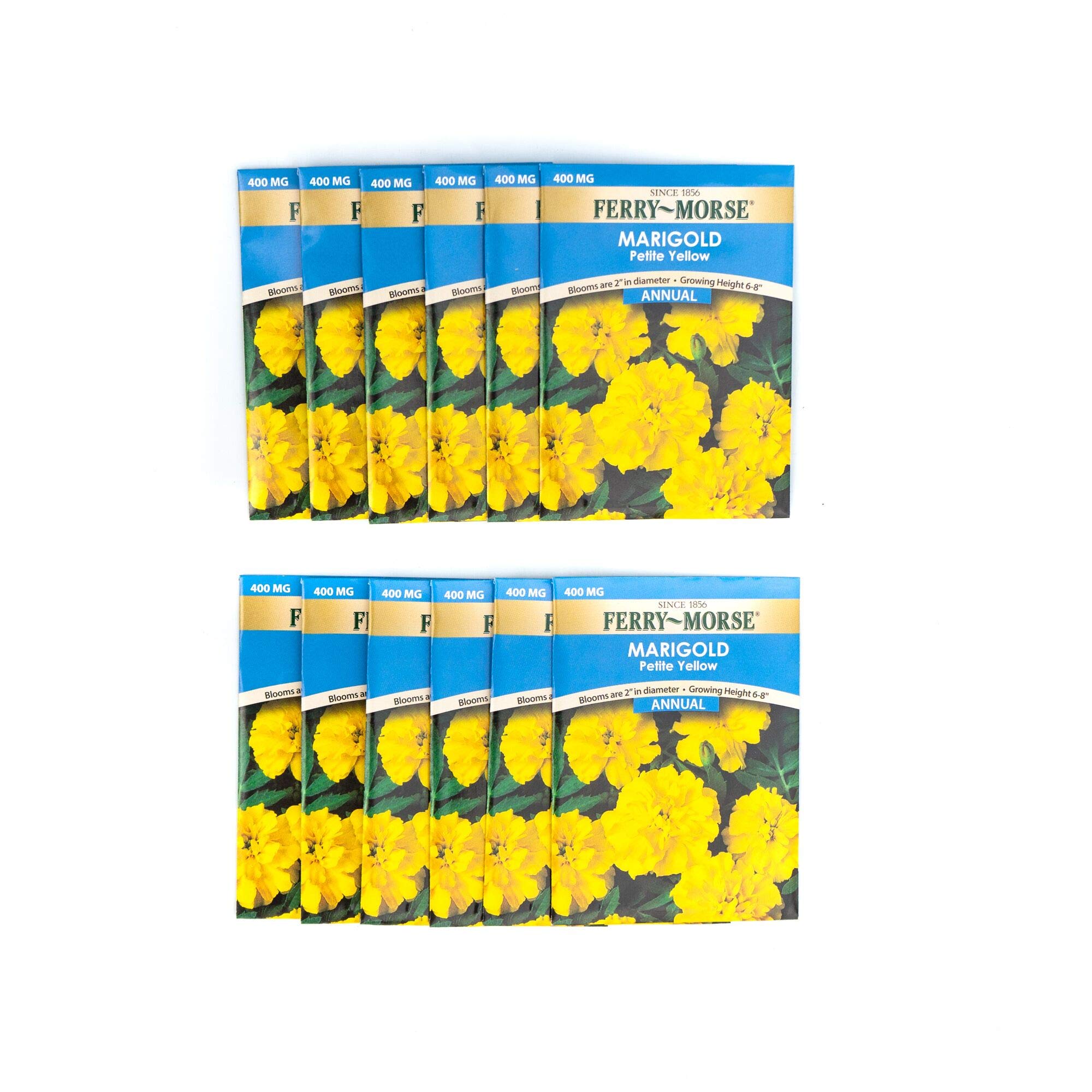 Ferry-Morse Seed Collections | Marigold Petite Yellow Seed (12 Pack)
