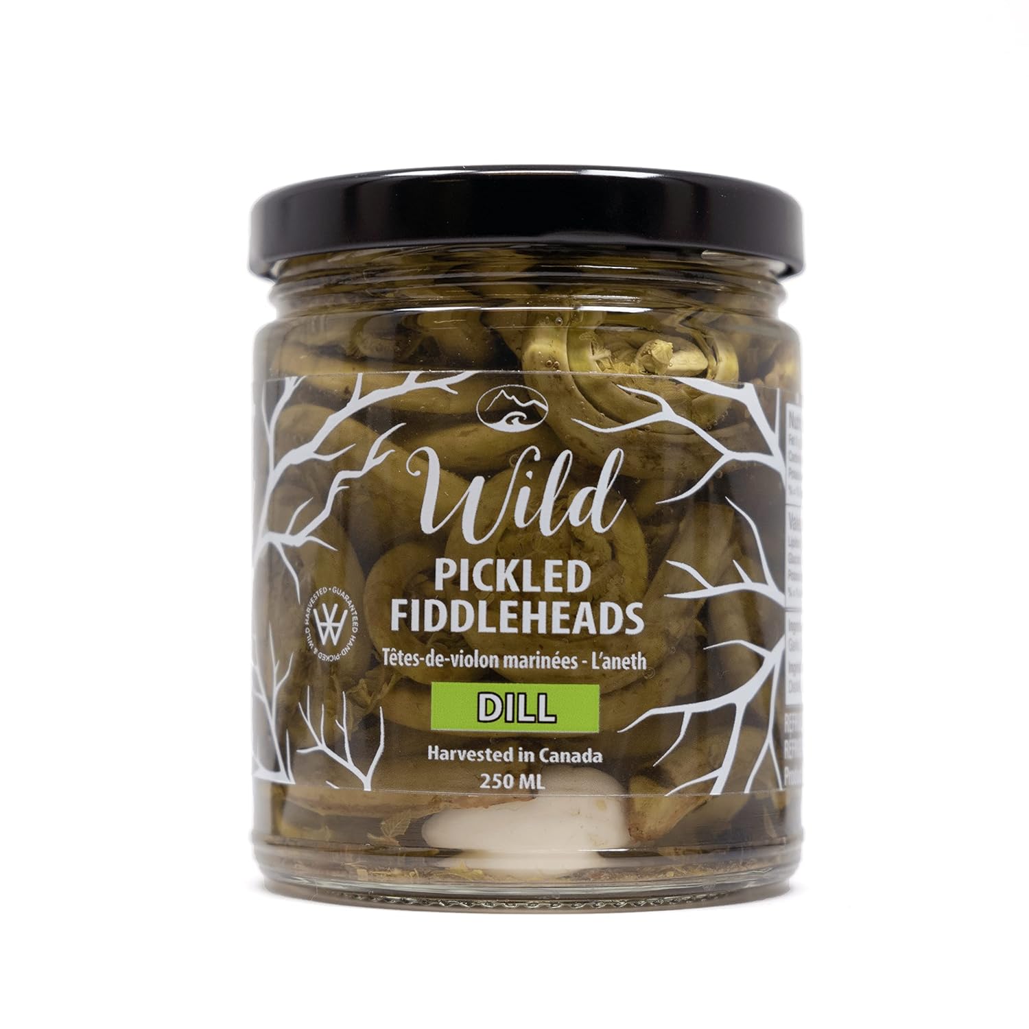 Wild Pickled Fiddleheads (Dill | 250ml - 8oz) | Local | West Coast Wild Foods