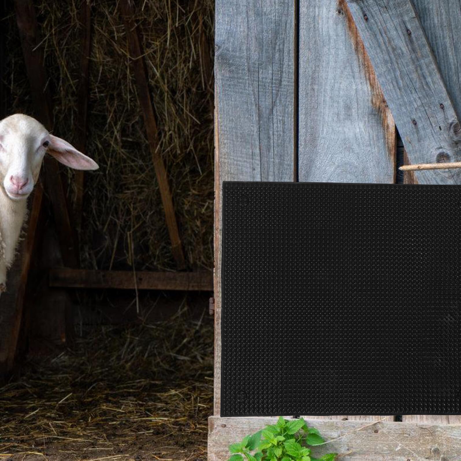 Hohopeti Spazzola per Bovini Tiragraffi 50X55 CM Setole Morbide Tappetino Antiprurito Resistente per Mucche e Cavalli Accessorio per Stalle Interno ed Esterno Sollievo Prurito Bestiame