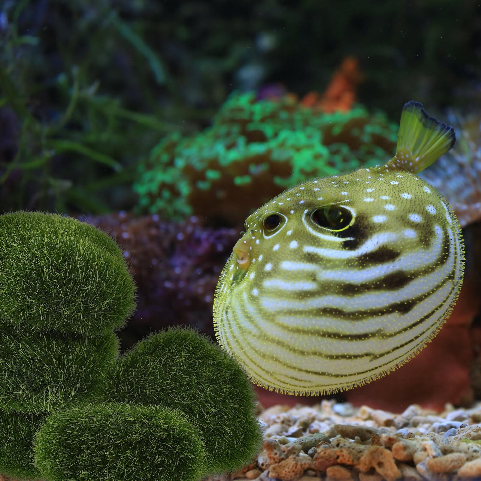 Cabilock Realistic Simulated Moss Stones 5pcs Artificial Moss Rocks for Decorative Faux Stone Arrangements Home Office Decor