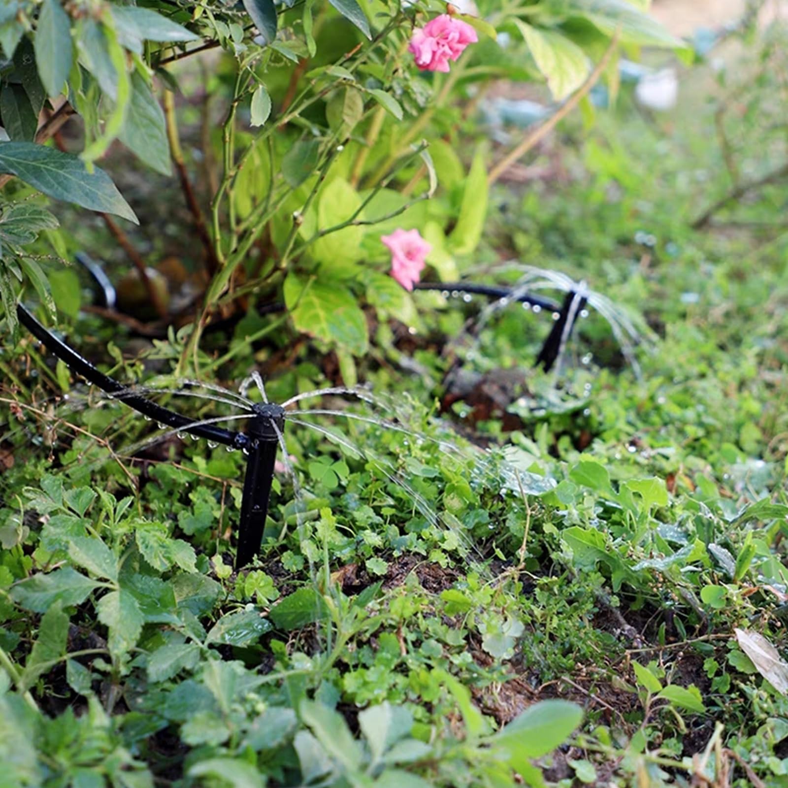 LUMOOM 50er Set Gartenschlauch-Befestigungsanker – 360° Micro-Drip-Tropfer Mit 8 Sprühöffnungen, Für 4/7 Mm Schlauch, Bewässerungssystem (Rosa)