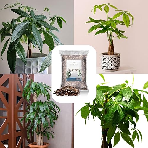 Miniatura 2 de Suelo de árbol del dinero (4 cuartos de galón), mezcla para macetas para plantar/trasplantar Pachira Aquatica, mezcla de suelo personalizada