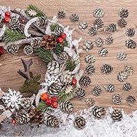 Vista 3 de 200 piñas de pino naturales de Navidad, minipiñas de pino de Acción de Gracias, adornos de piñas de Navidad a granel para decoración del hogar