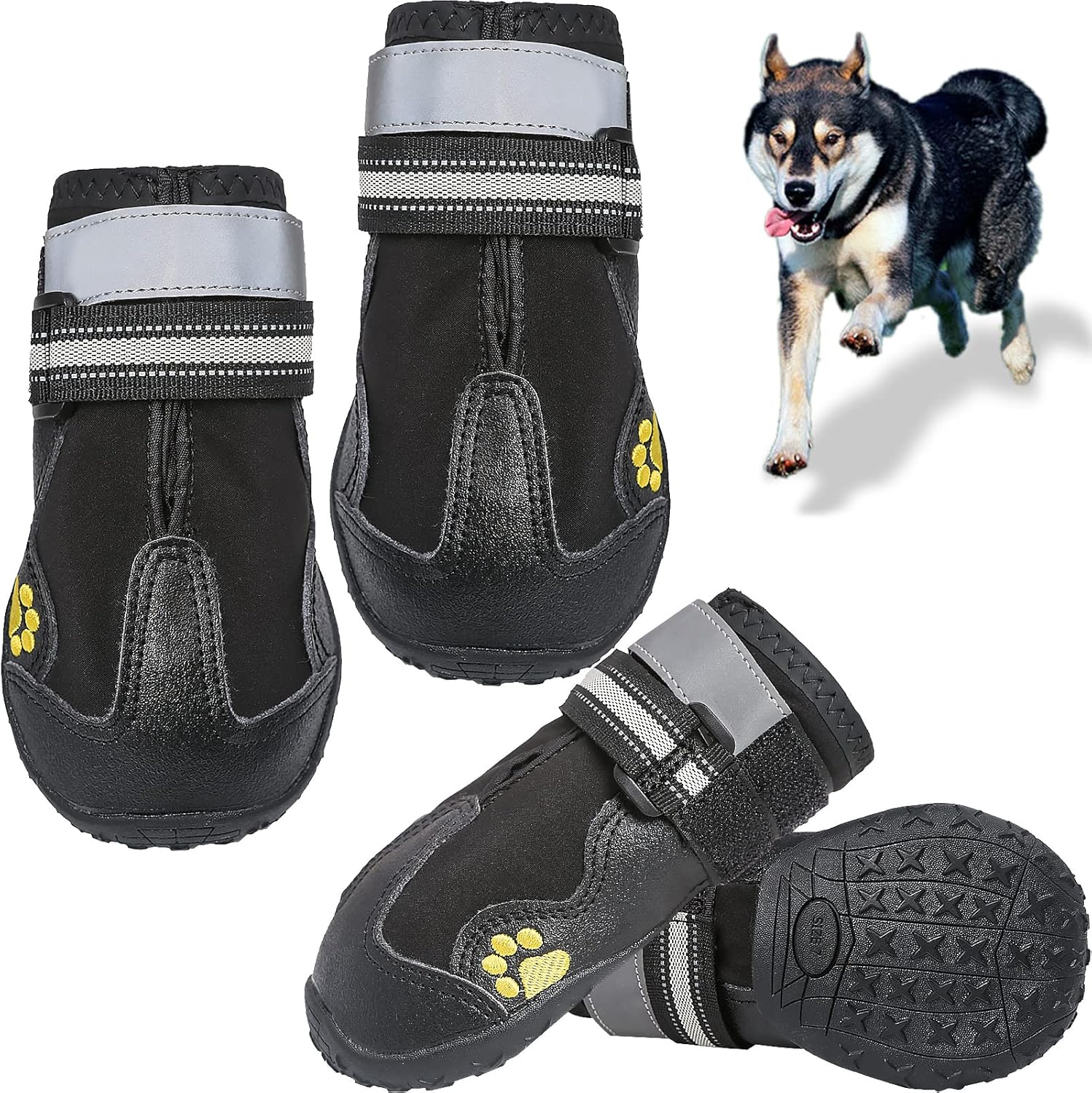 medium dog boots