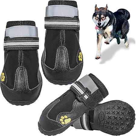 dog sneakers amazon