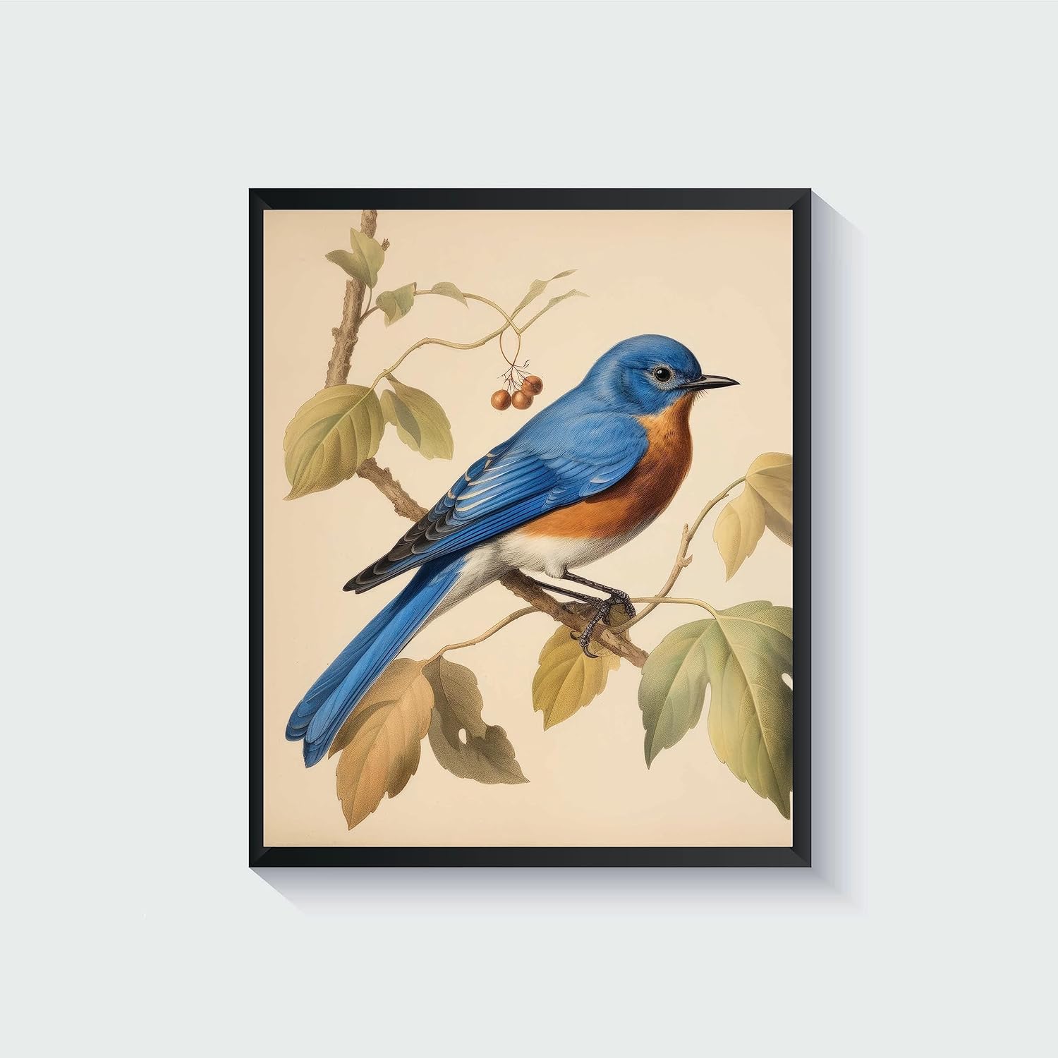 Bluebird Poster Art Print Retro Vintage Bird Wall Art