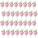 Retrowavy 32 Pcs Champagne Pink Rose Boutonniere Pins for Men Wedding Corsages Groom and Man Artificial Flower for Anniversary Ceremony Homecoming Prom Party Decorations