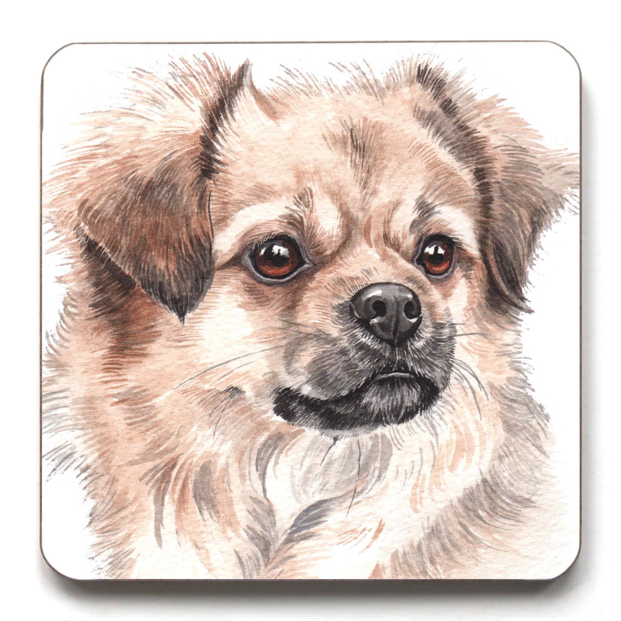 Tibetan Spaniel Coaster (CST-195)