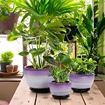 SOUJOY Ensemble de 3 Pots de fleurs en céramique, pot de jardinage avec trous de drainage et de soucoupe, 7/5/4 pouce Planter de cactus pour l'intérieur extérieur