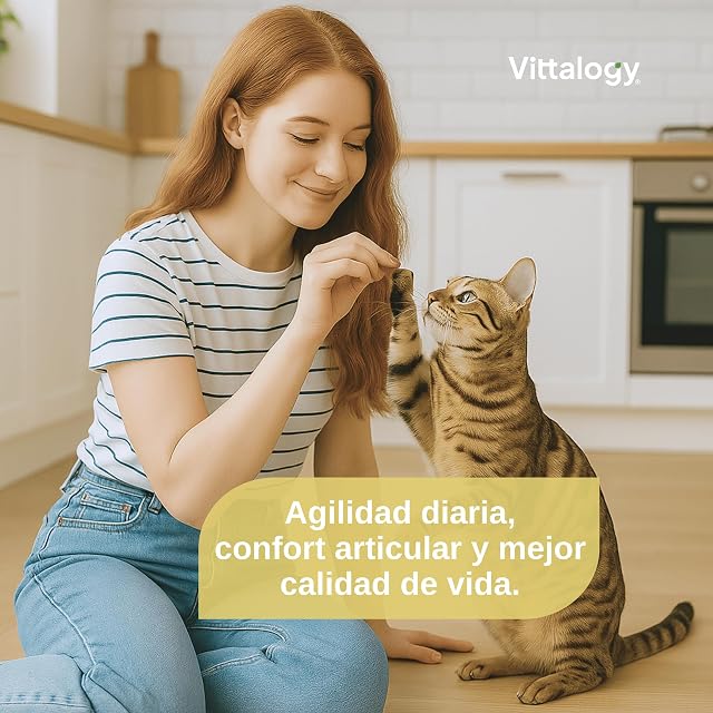Foto 8 de 8 de VITTALOGY Condroprotector para Gatos. Antiinflamatorio Natural con Colágeno, Condroitina