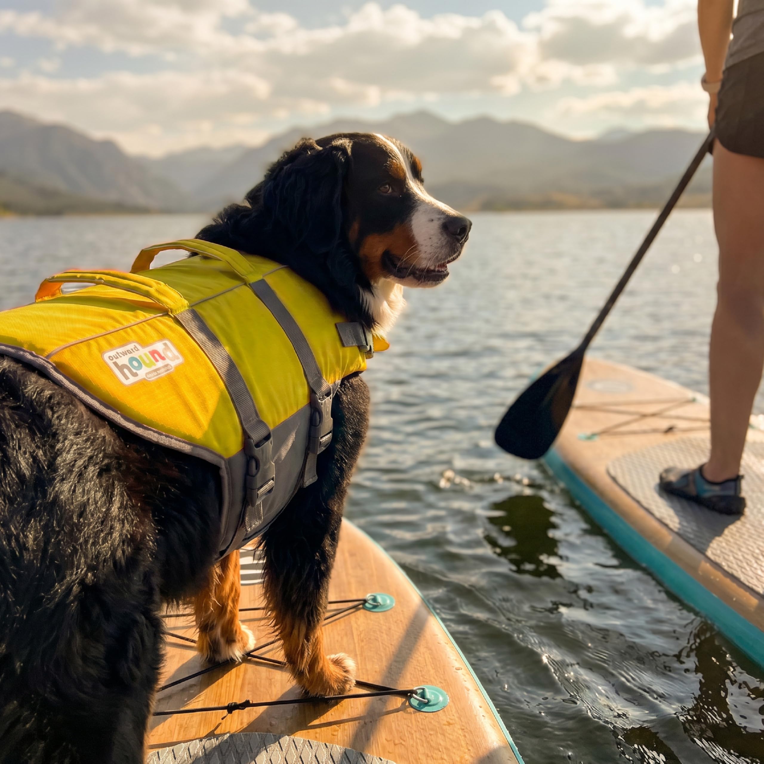 Outward Hound Granby Splash Gilet de Sauvetage pour Chien Jaune Taille XL