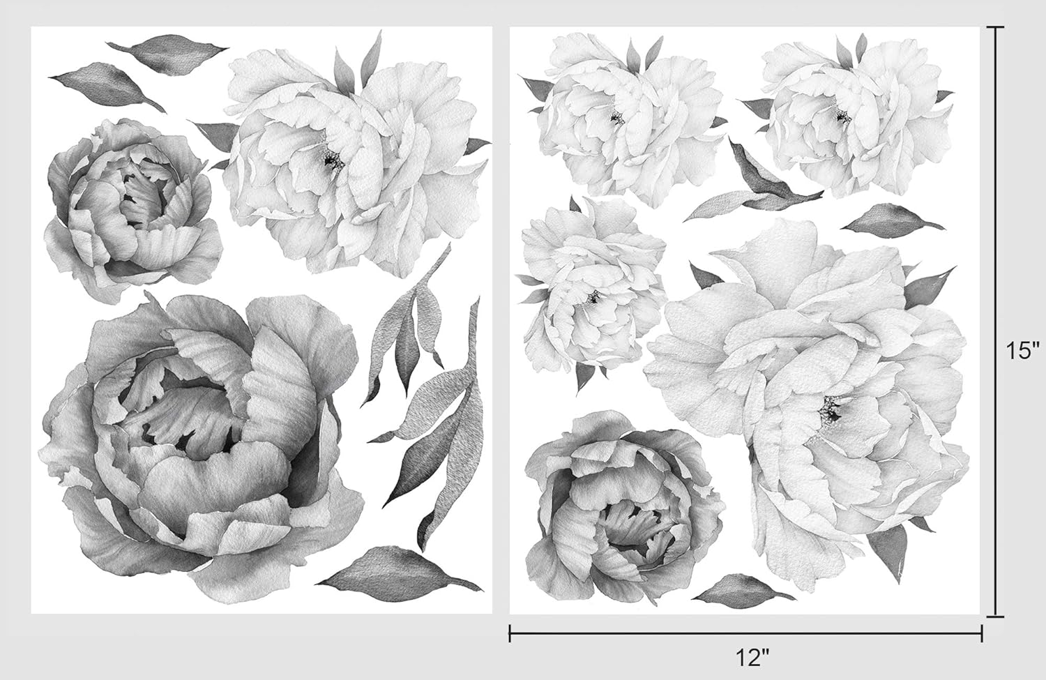 Peony Watercolor Wall Decals (Black and White Watercolor) - Flowers Decals for Wall - Botanical Bedroom Decor - Floral Peonies Grey Wall Stickers with Test Sample